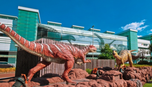 カニ食べ行こう～♪１泊２日の福井旅